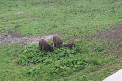 self-adwokaci-rzeszow-bieszczady-06.2023_102