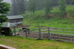self-adwokaci-rzeszow-bieszczady-06.2023_124