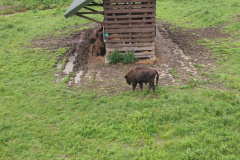 self-adwokaci-rzeszow-bieszczady-06.2023_145