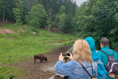self-adwokaci-rzeszow-bieszczady-06.2023_148