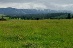 self-adwokaci-rzeszow-bieszczady-06.2023_170