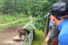 self-adwokaci-rzeszow-bieszczady-06.2023_293