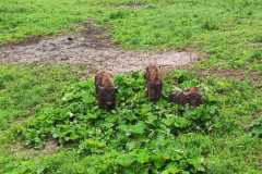 self-adwokaci-rzeszow-bieszczady-06.2023_297